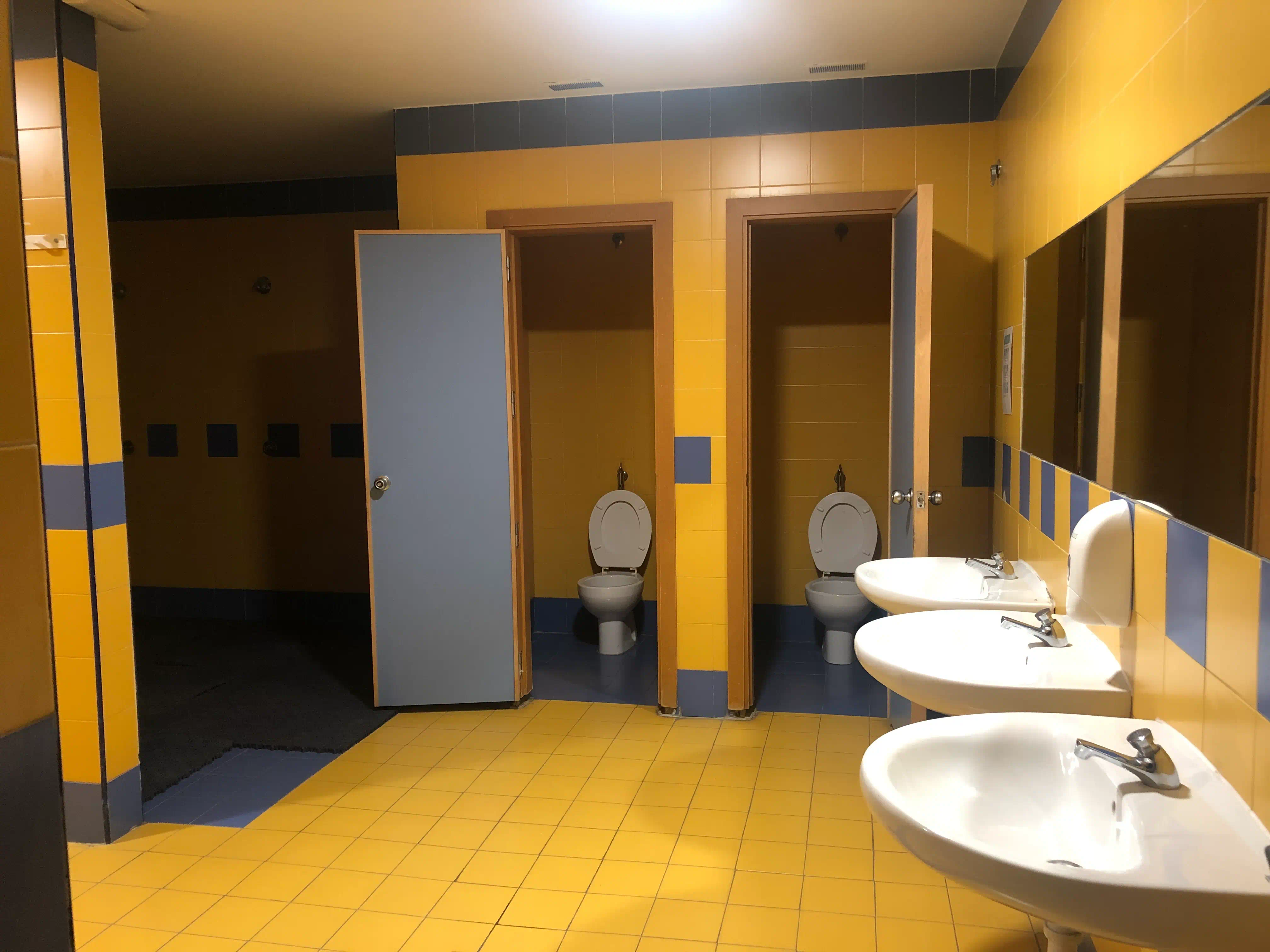 Miniatura de la galería