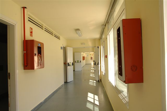 Miniatura de la galería