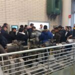 Campus-Museo Iberdrola